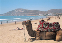 agadir beach